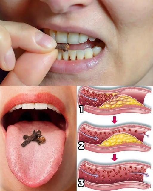 Clavos de Olor: Una Especia Tradicional con Sabor y Beneficios Naturales