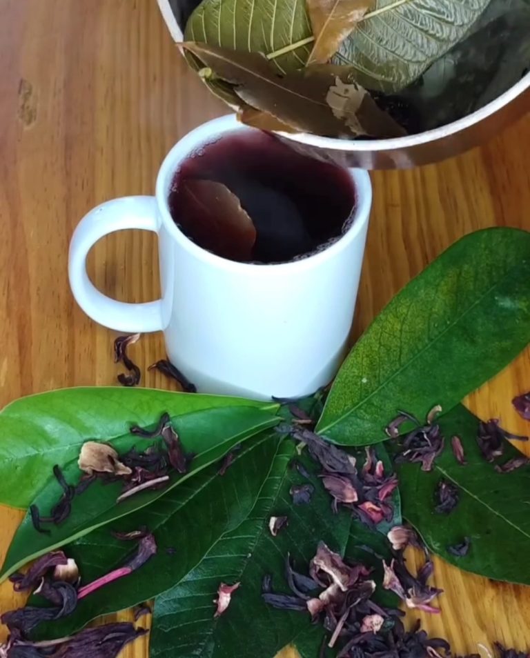 Semilla de aguacate: tradición, precaución y uso consciente en la cocina natural 🥑🌿