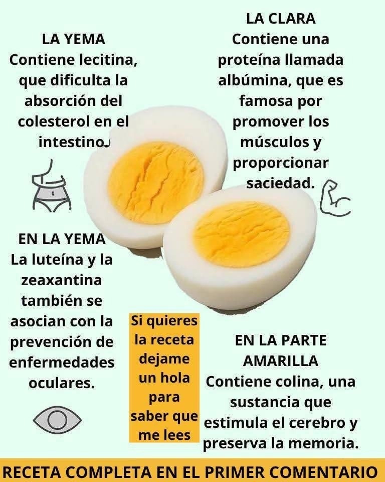 El Huevo Hervido: Un Alimento Simple con Grandes Beneficios para tu Bienestar