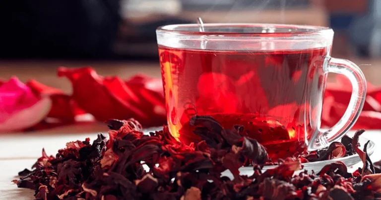 Té de Jamaica: Beneficios, Receta y Precauciones