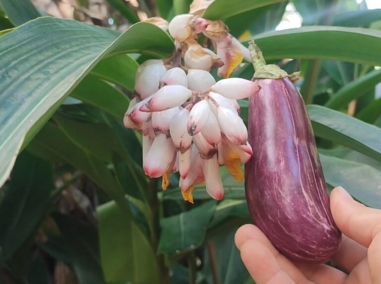 Hábitos diarios y nutrición para apoyar una visión saludable