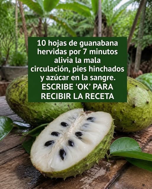 Guanábana: beneficios nutricionales y usos tradicionales en el hogar