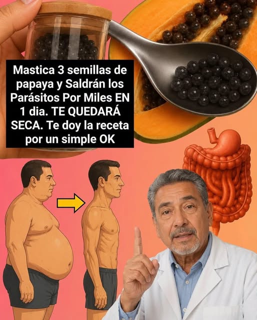 Poder Oculto de las Semillas de Papaya para un Hígado Sano y un Vientre Plano