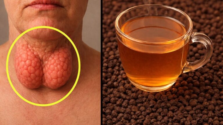 ### 6 Pasos Sencillos para Apoyar la Salud de la Tiroides de Forma Natural 🌿💙