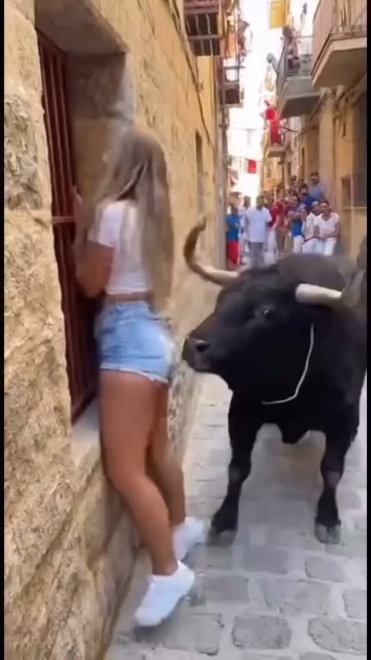 Bull Corners Beautiful Tourist — Seconds Later, Nobody Could Believe Their Eyes